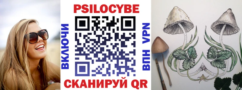 гидра зеркало  даркнет сайт  Северская  Псилоцибиновые грибы Cubensis 