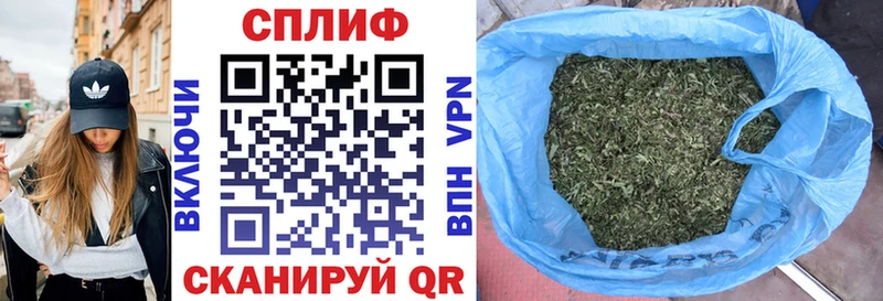 Бошки Шишки семена  Северская 